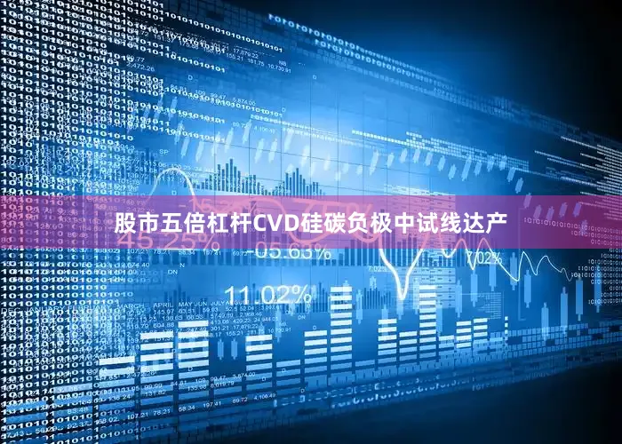 股市五倍杠杆CVD硅碳负极中试线达产